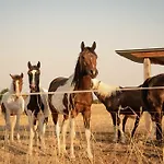 Semesterbostad Homnest - Loge Insolite Au Coeur D'un Ranch - Balade A Cheval