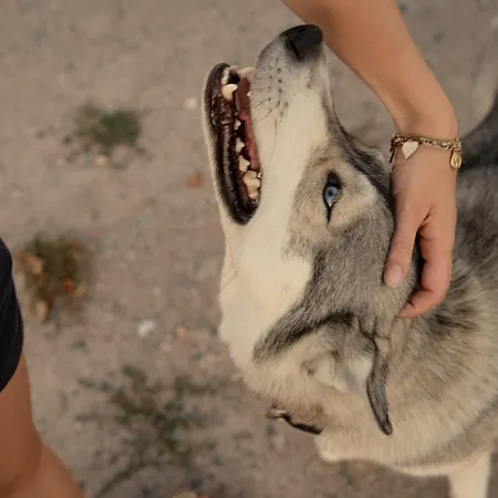 Homnest - Loge Insolite Au Coeur D'un Ranch - Balade A Cheval *