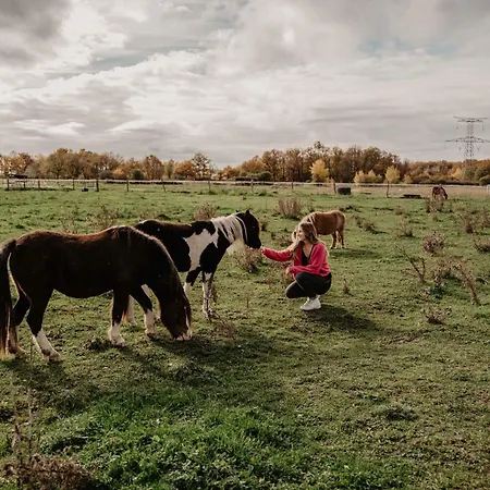 Homnest - Loge Insolite Au Coeur D'un Ranch - Balade A Cheval Nyaraló Espinasse-Vozelle