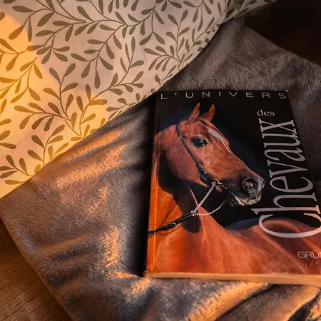Holiday home Homnest - Loge Insolite Au Coeur D'un Ranch - Balade A Cheval