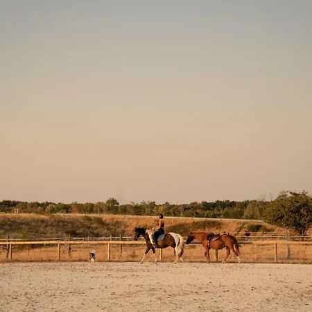 Homnest - Loge Insolite Au Coeur D'un Ranch - Balade A Cheval *