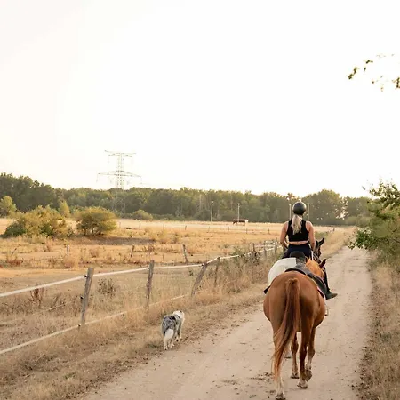 Homnest - Loge Insolite Au Coeur D'un Ranch - Balade A Cheval Σπίτι διακοπών *