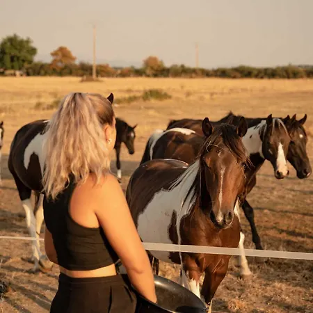 Σπίτι διακοπών Homnest - Loge Insolite Au Coeur D'un Ranch - Balade A Cheval Espinasse-Vozelle