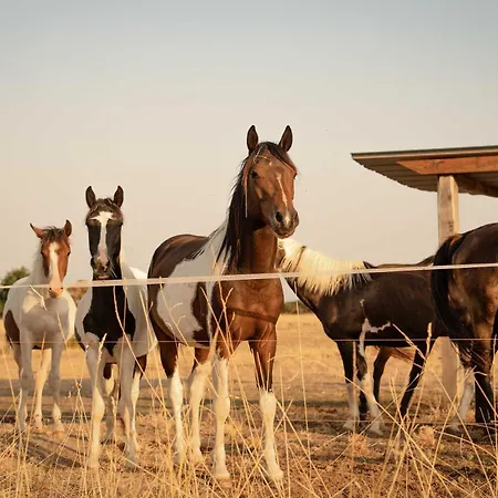 Holiday home Homnest - Loge Insolite Au Coeur D'un Ranch - Balade A Cheval