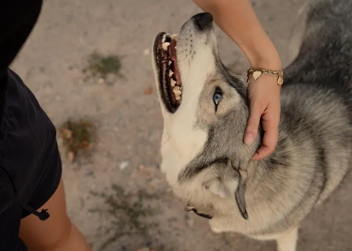 Homnest - Loge Insolite Au Coeur D'un Ranch - Balade A Cheval *