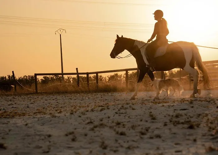 Homnest - Loge Insolite Au Coeur D'un Ranch - Balade A Cheval Σπίτι διακοπών